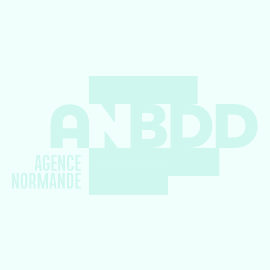Visuel Veille Defaut ANBDD