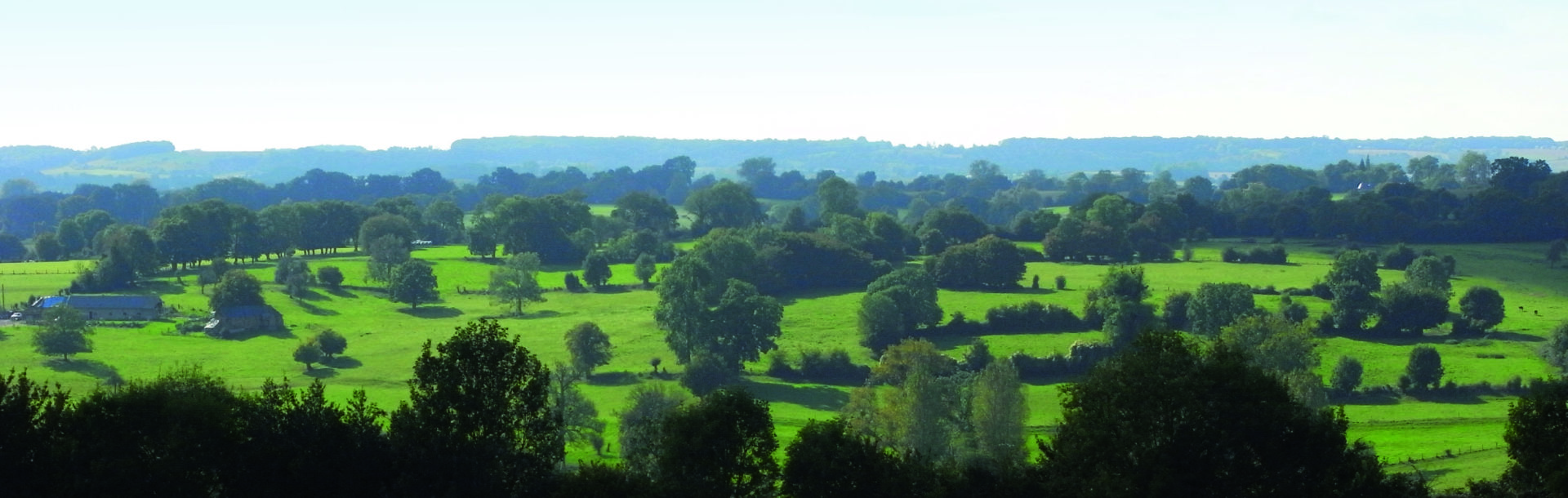 Paysage bocager typique du Pays de Bray