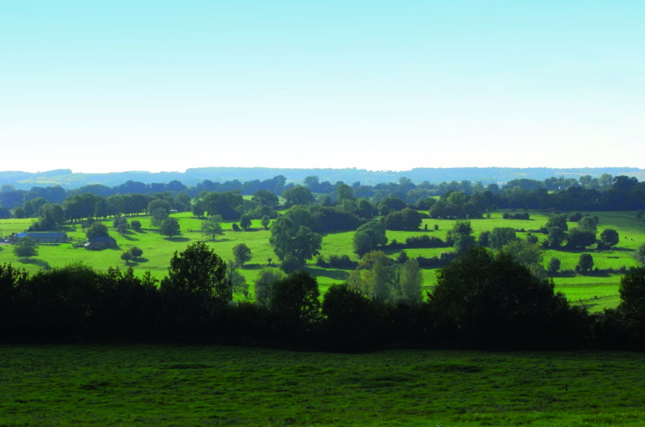 Paysage bocager typique du Pays de Bray