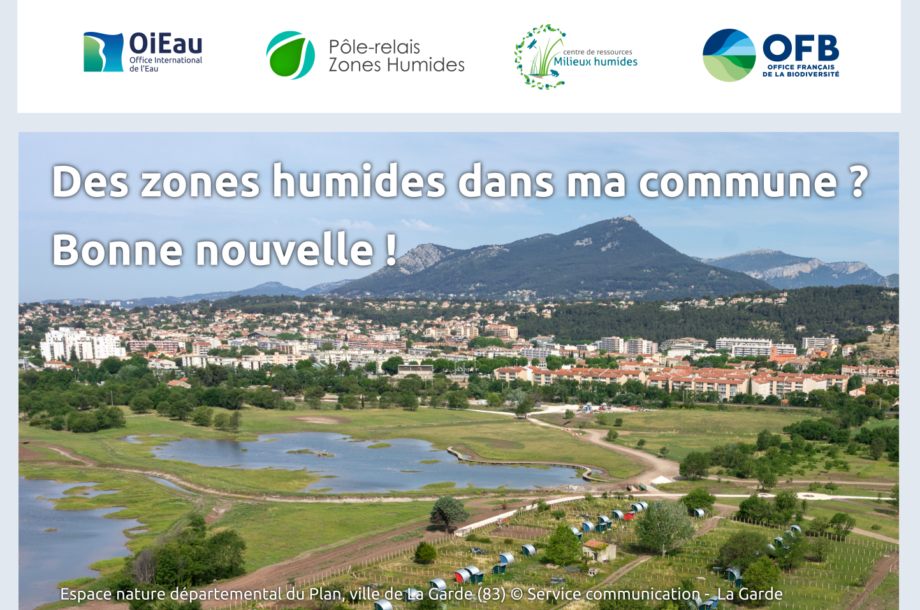 [16 octobre 2020 / Webconférence] Des zones humides dans ma commune ? Bonne nouvelle !