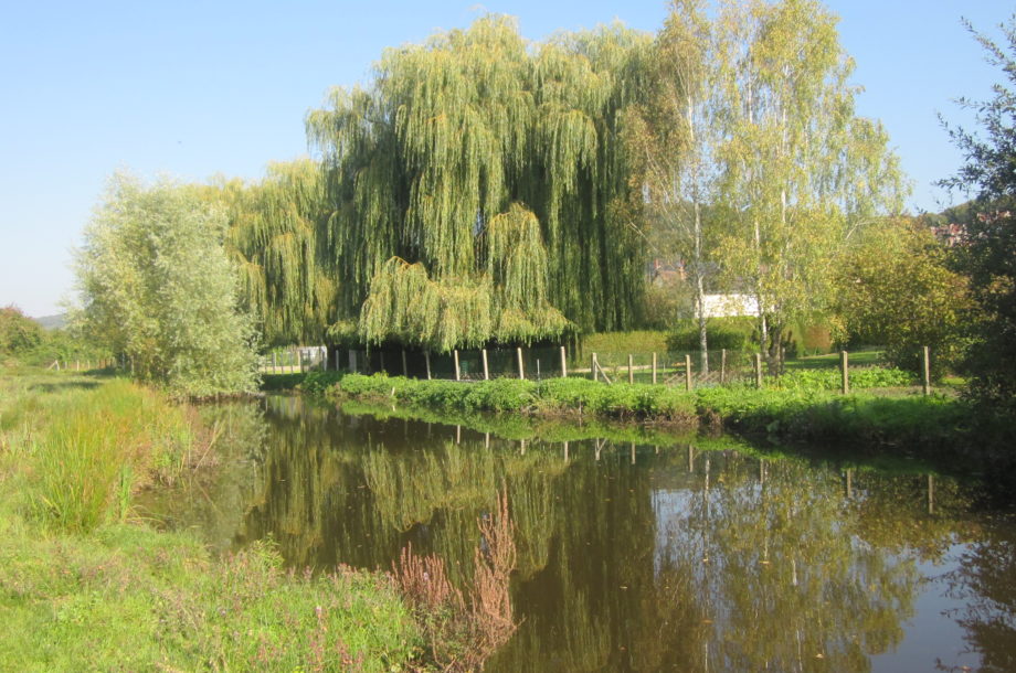 Circuit 08 : Trame verte et bleue, la Métropole Rouen Normandie sur tous les terrains