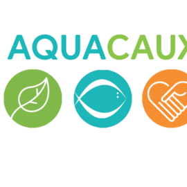 Aquacaux