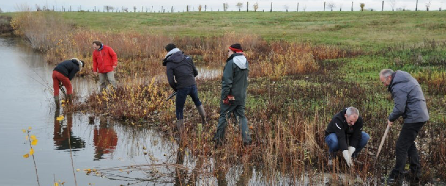 Gestion du site écologique du Val Renoux (76)