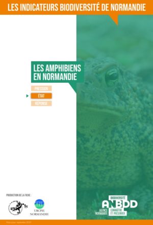 Les Amphibiens en Normandie