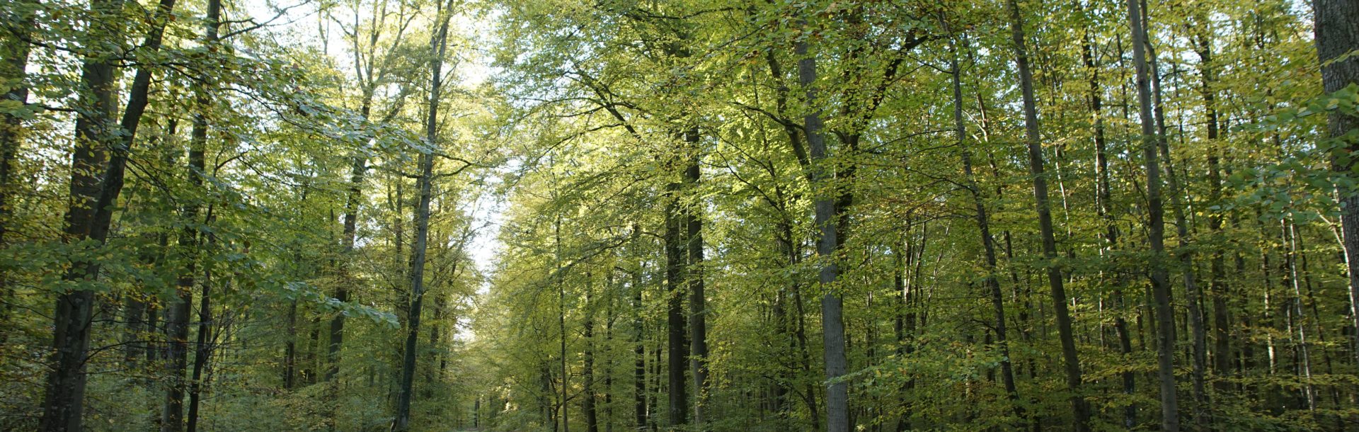 La biodiversité en Normandie