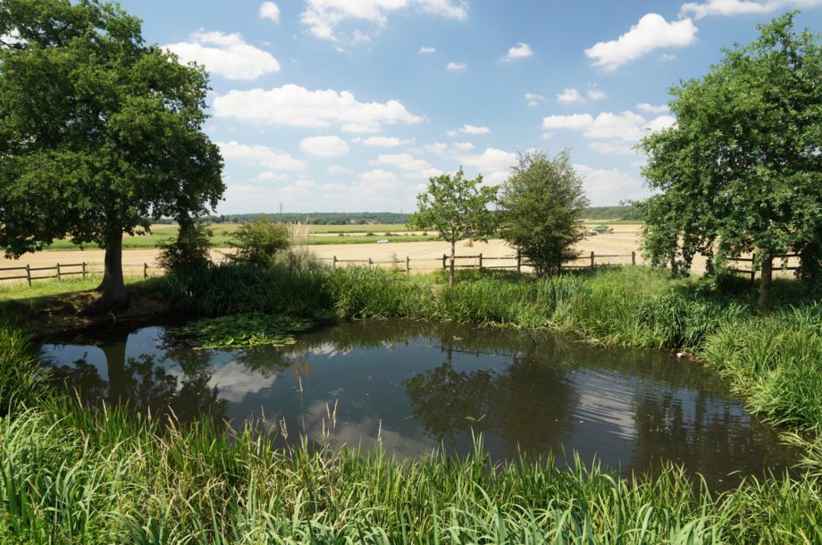 Territoires Engagés pour la Nature