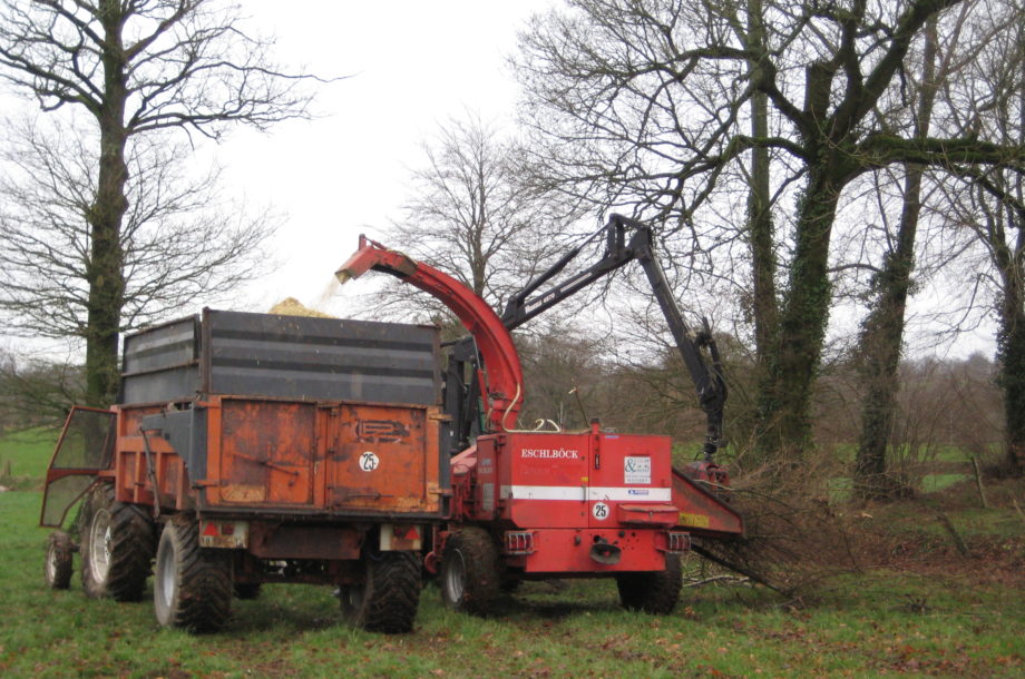 Circuit 02 : Plantation, valorisation économique, insertion : la filière bois bocage énergie comme levier de transition du bocage Virois