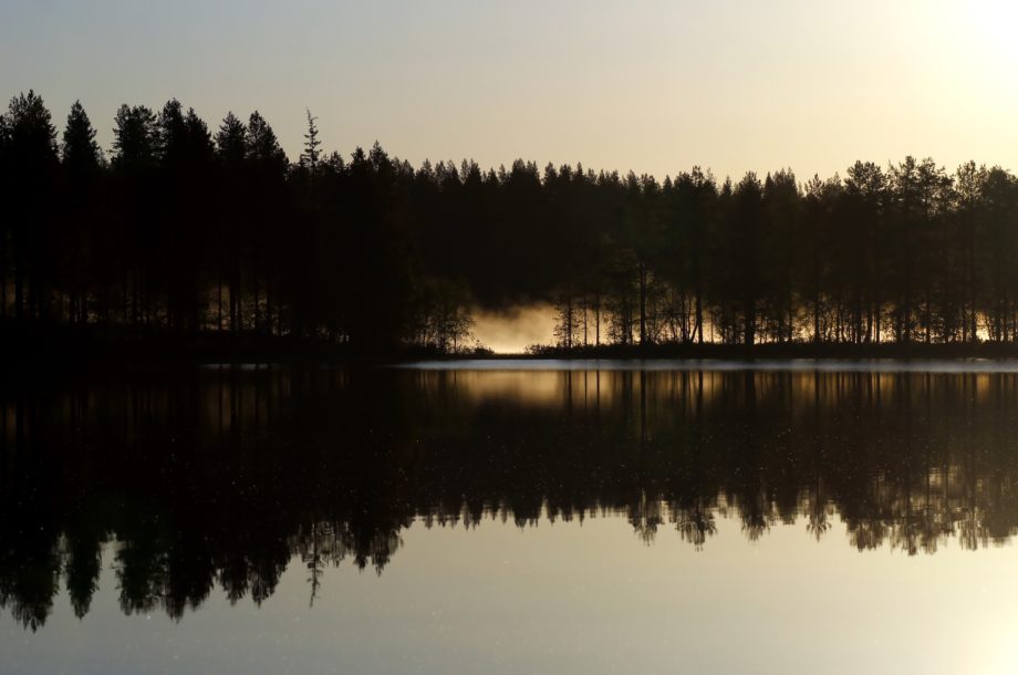 [Webinaire] Solutions fondées sur la nature : face aux inondations et aux sécheresses