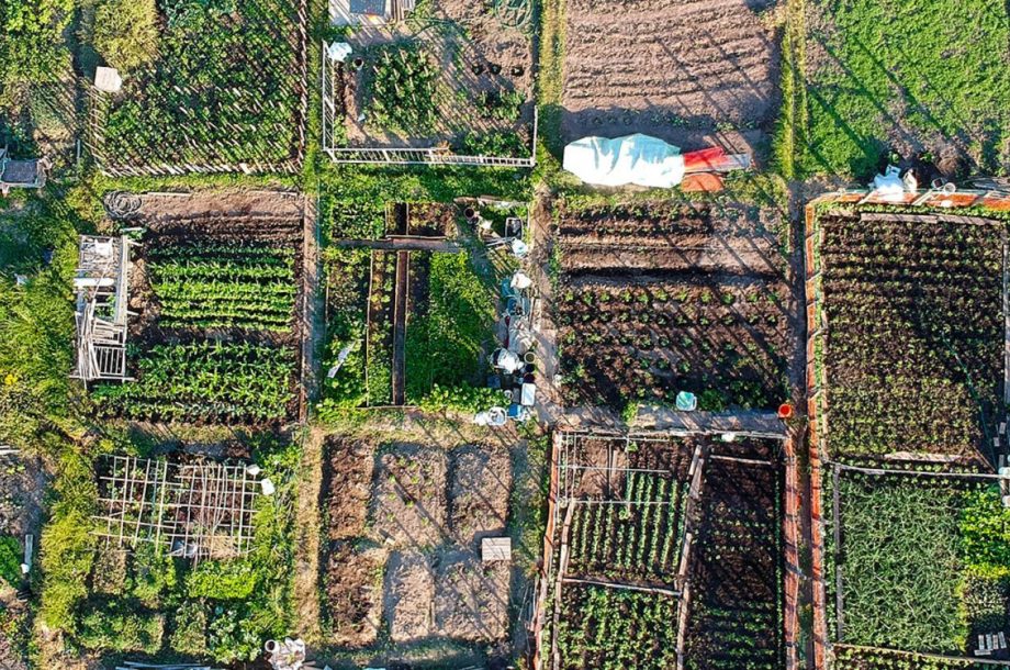 [Appel à projets] Les quartiers fertiles : l’agriculture urbaine dans nos quartiers – 3e session