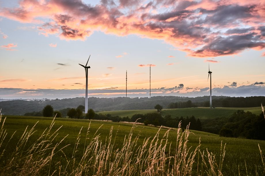 [Webinaire] Solutions d’adaptation fondées sur la nature : préparer son territoire au changement climatique