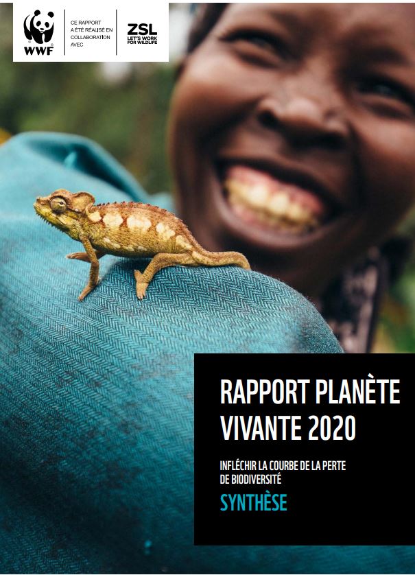 Rapport Planète vivante 2020, infléchir la courbe de la perte de biodiversité. Synthèse