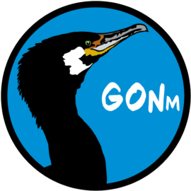 Groupe ornithologique normand – GONm