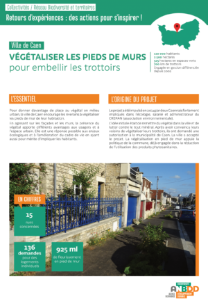 [Retours d’expériences] Végétaliser les pieds de murs pour embellir les trottoirs