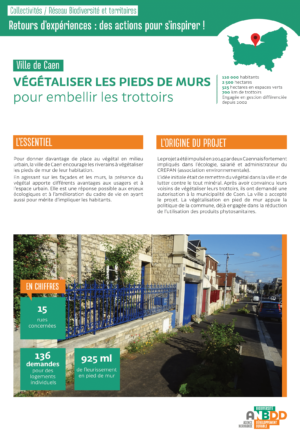 [Retours d’expériences] Végétaliser les pids de murs pour embellir les trottoirs