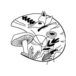Société d’Etude des Sciences Naturelles d’Elbeuf SESNE
