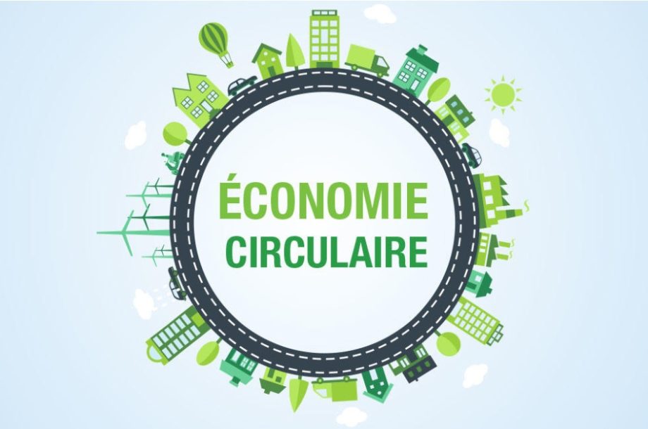 [Atelier collectif]  La Fresque de l’économie circulaire