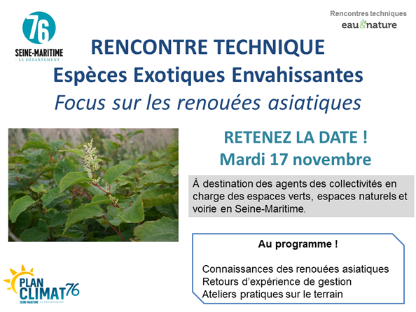 [Webinaire] Les renouées asiatiques. Connaissance et retours d’expériences