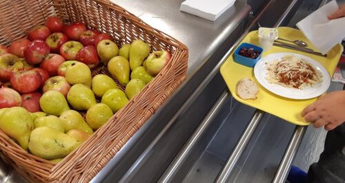[Visioconférence] Achat public et alimentation durable