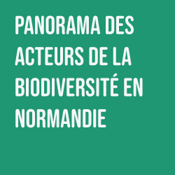 ► Le Catalogue des acteurs de la biodiversité en Normandie – Formulaire