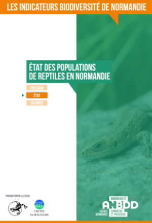 Les Reptiles en Normandie