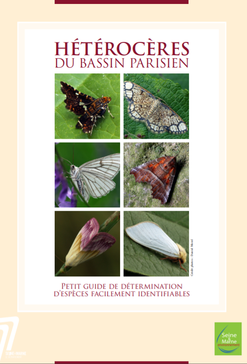 Hétérocères du bassin parisien. Petit guide de détermination d’espèces facilement identifiables