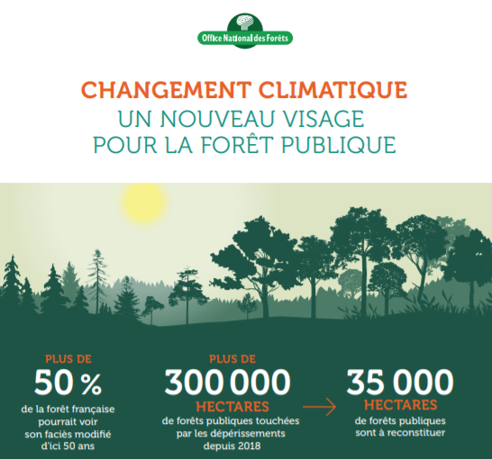 Forêts publiques françaises : quel nouveau visage ?