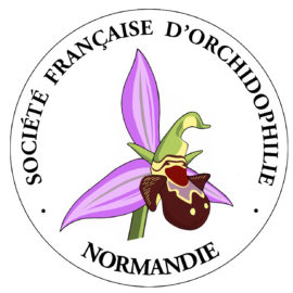 Société Française d’Orchidophilie – Normandie