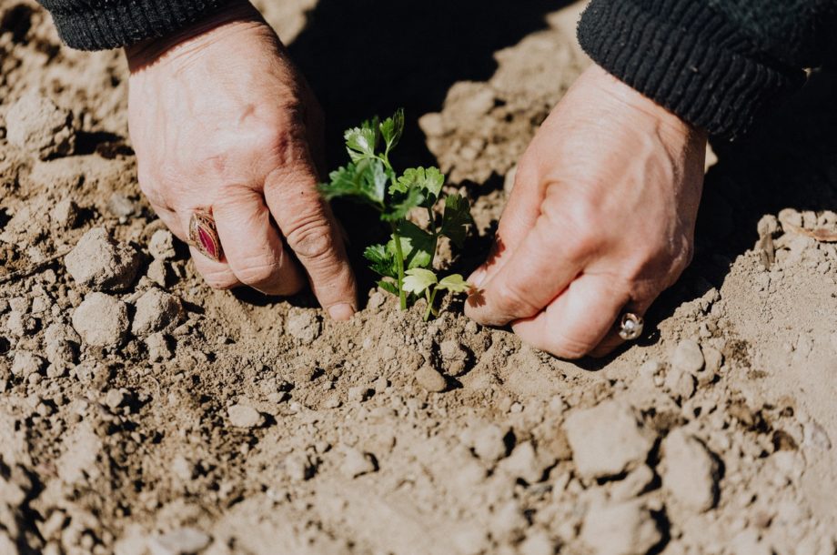 [Table ronde] Agriculture et changement climatique : Enjeux et impacts sur le territoire de la Métropole Rouen Normandie