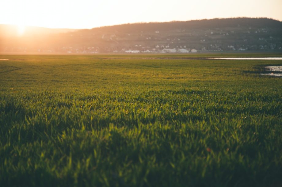 [Appel à projets] Renforcer la prise en compte de l’adaptation au changement climatique dans les initiatives internationales multilatérales