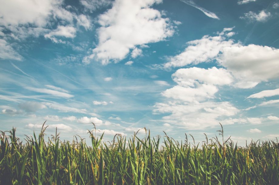 [Appel à projets] L’agriculture s’adapte au changement climatique