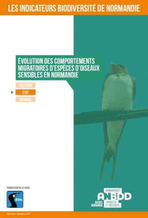 Evolution des comportements migratoires d’espèces d’oiseaux sensibles en Normandie