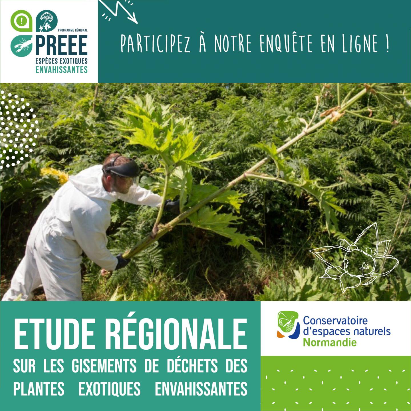 Gestionnaires de plantes exotiques envahissantes en Normandie, nous avons besoin de vous !