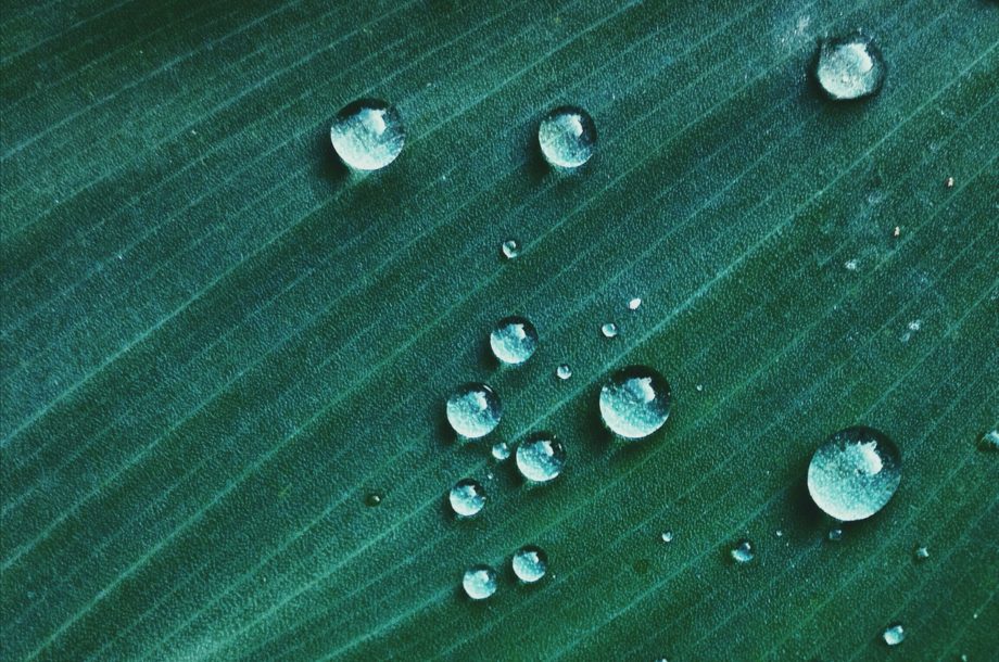 [Séminaire]  Les zones humides et les usages de l’eau, 13ème Séminaire national Ramsar