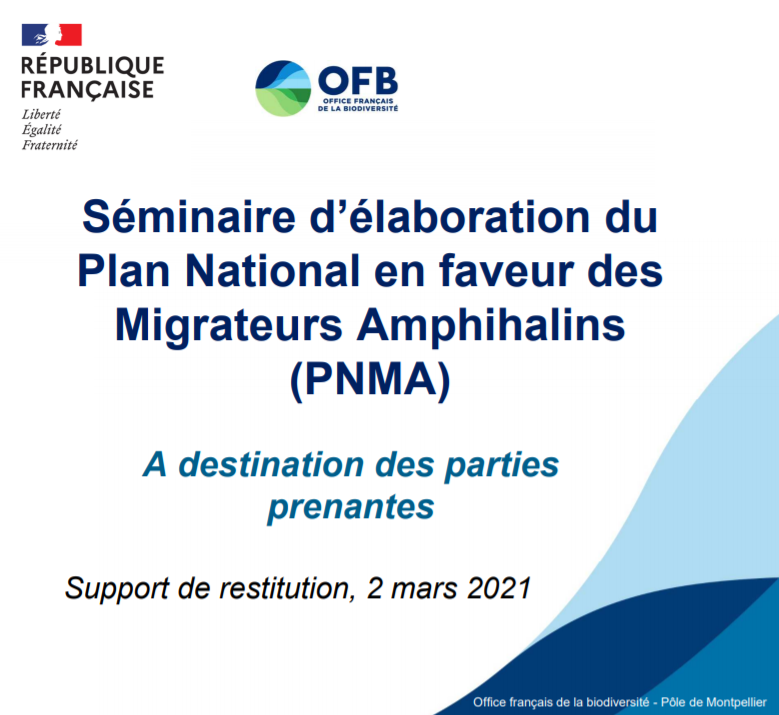 [Restitutions] Élaboration du plan national migrateurs amphihalins