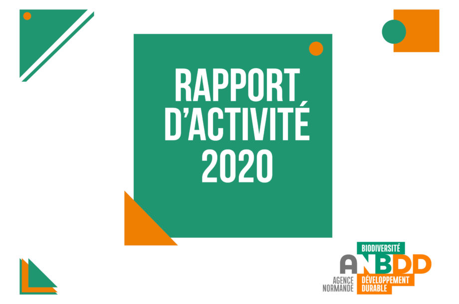 Rapport d’activité 2020 – ANBDD