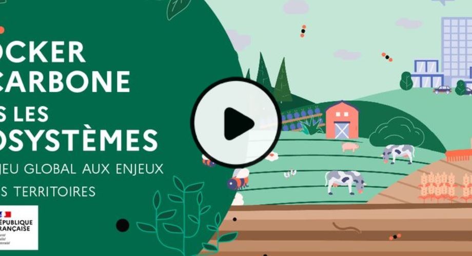 [MOOC – Cours en ligne] Stocker du carbone dans les écosystèmes : de l’enjeu global aux enjeux pour les territoires