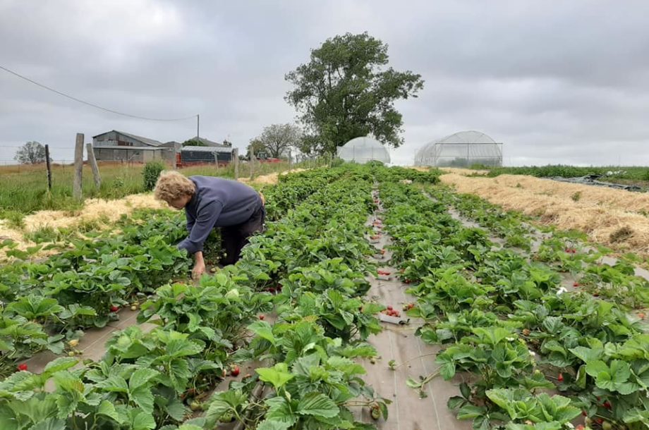 Les Champs de Bray, au cœur d’une transition agroécologique et sociétale – 76