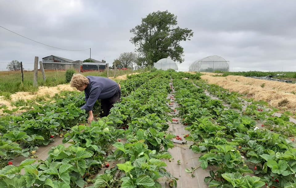 Les Champs de Bray, au cœur d’une transition agroécologique et sociétale – 76