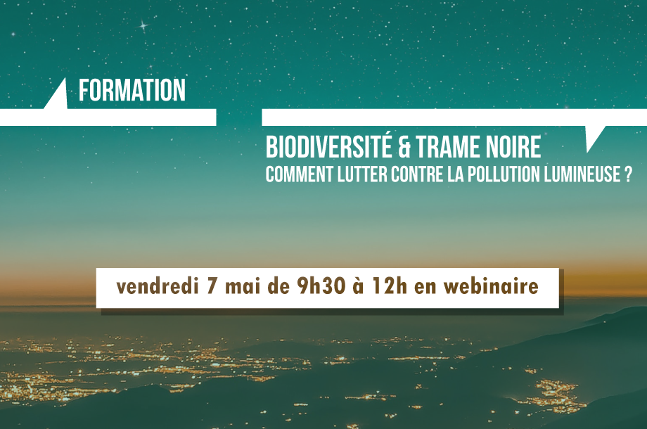 [Formation en webinaire] Biodiversité et trame noire, comment lutter contre la pollution lumineuse ?