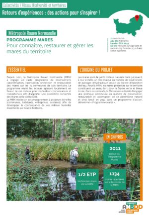 [Retours d’expériences] Programme Mares : pour connaître, restaurer et gérer les mares du territoire