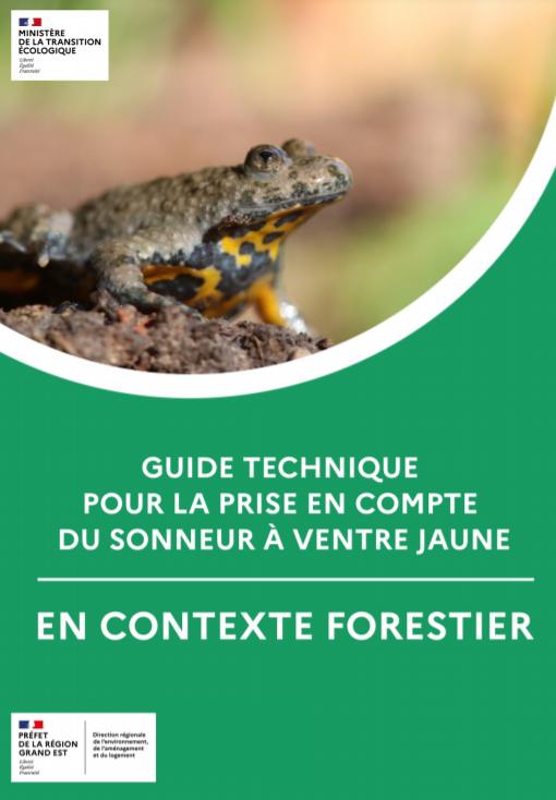 PNA Sonneur à ventre jaune – Guide technique pour la prise en compte du sonneur à ventre jaune en contexte forestier