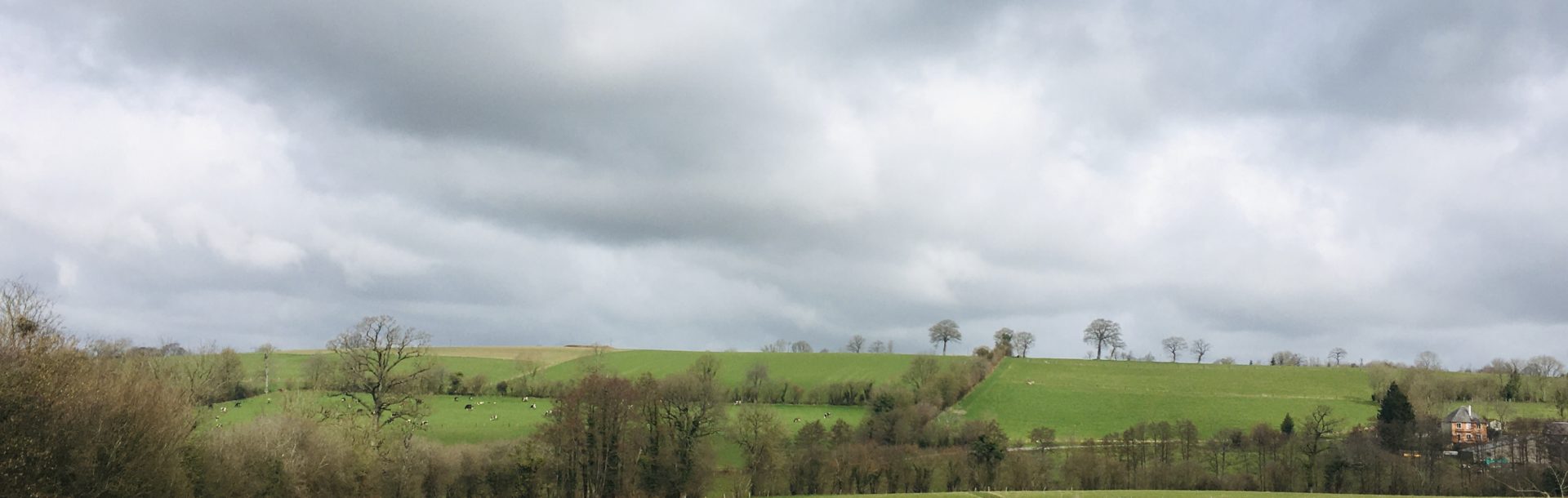 Autonomie et respect de la biodiversité pour plus de durabilité à la ferme de la Mazure – 14