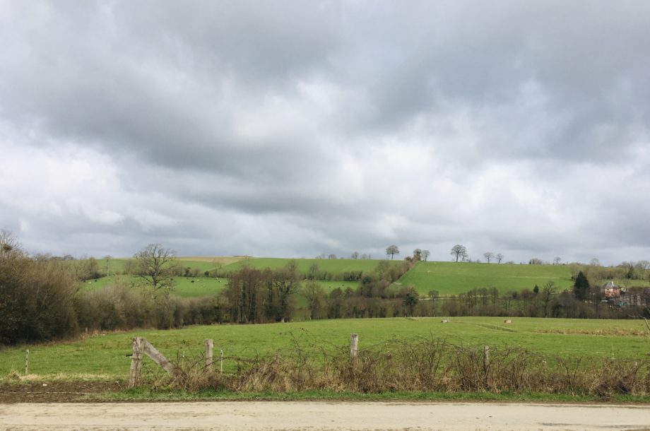 Autonomie et respect de la biodiversité pour plus de durabilité à la ferme de la Mazure – 14