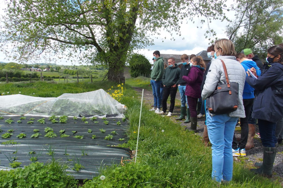 Agroécologie : nouvelles visites de terrain en Normandie