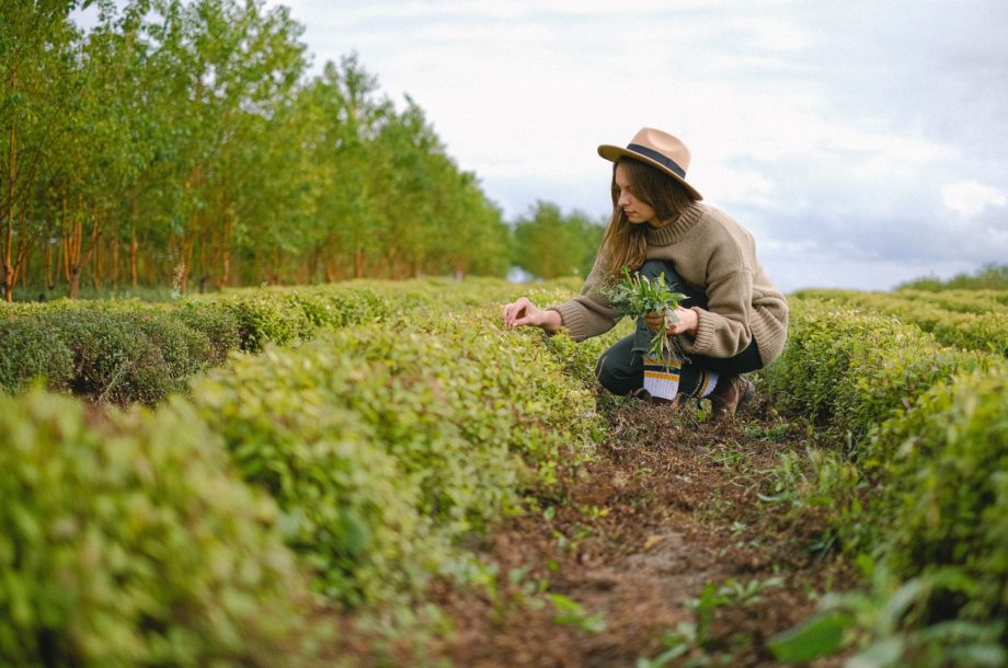 [Formation en visioconférence] Formation OAB Observatoire agricole de la biodiversité