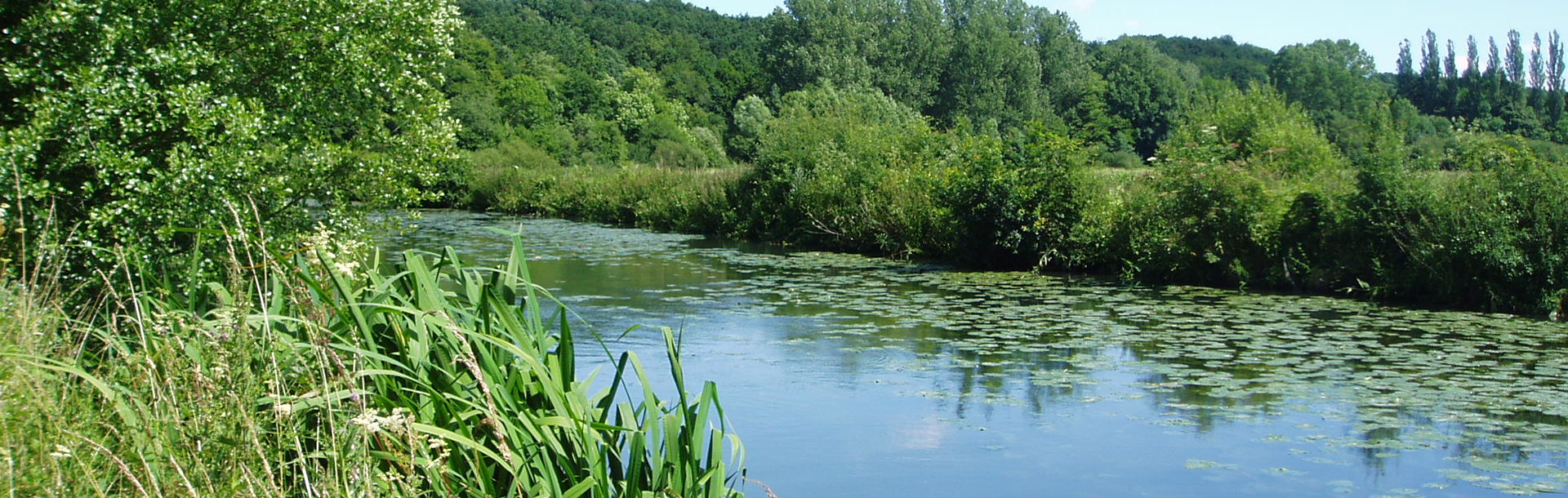 État écologique des masses d’eau de surface