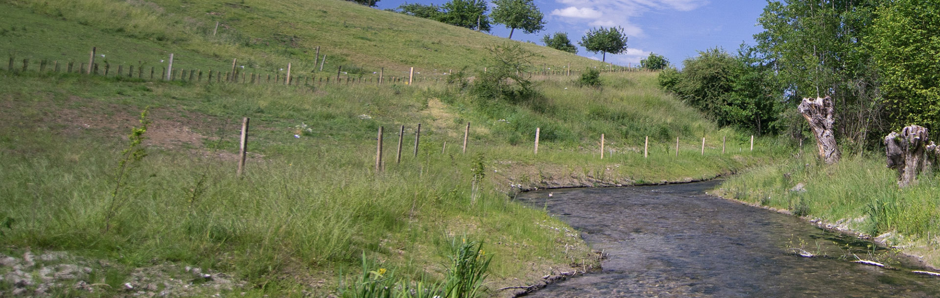 Les indicateurs normands de la biodiversité