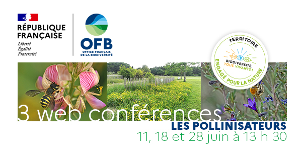 [Webinaire] Préserver les pollinisateurs dans nos territoires, retours d’expérience des TEN – Cycle webinaires OFB Pollinisateurs #3