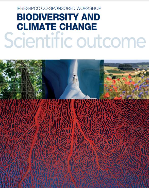 Biodiversity and climate change. Scientific outcome