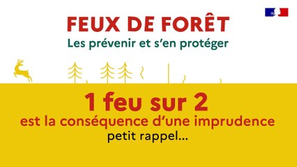 Feux de forêt et de végétation : les prévenir et s’en protéger